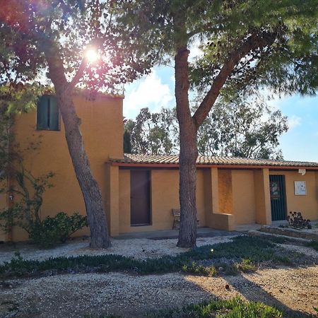 L'Oasis De Port Fitou Daire Dış mekan fotoğraf