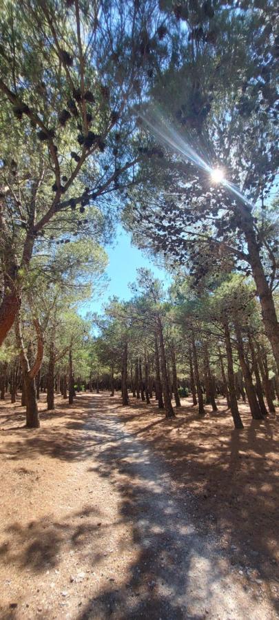 L'Oasis De Port Fitou Daire Dış mekan fotoğraf