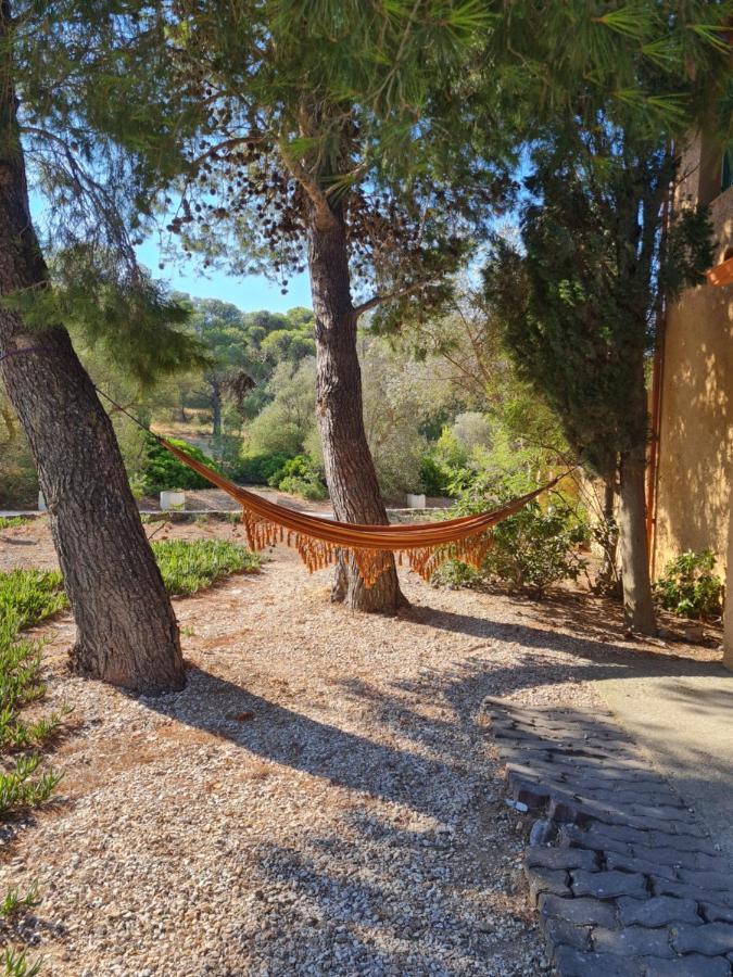 L'Oasis De Port Fitou Daire Dış mekan fotoğraf