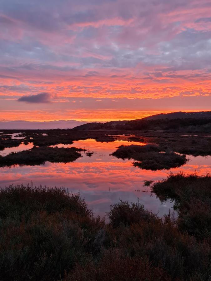 L'Oasis De Port Fitou Daire Dış mekan fotoğraf