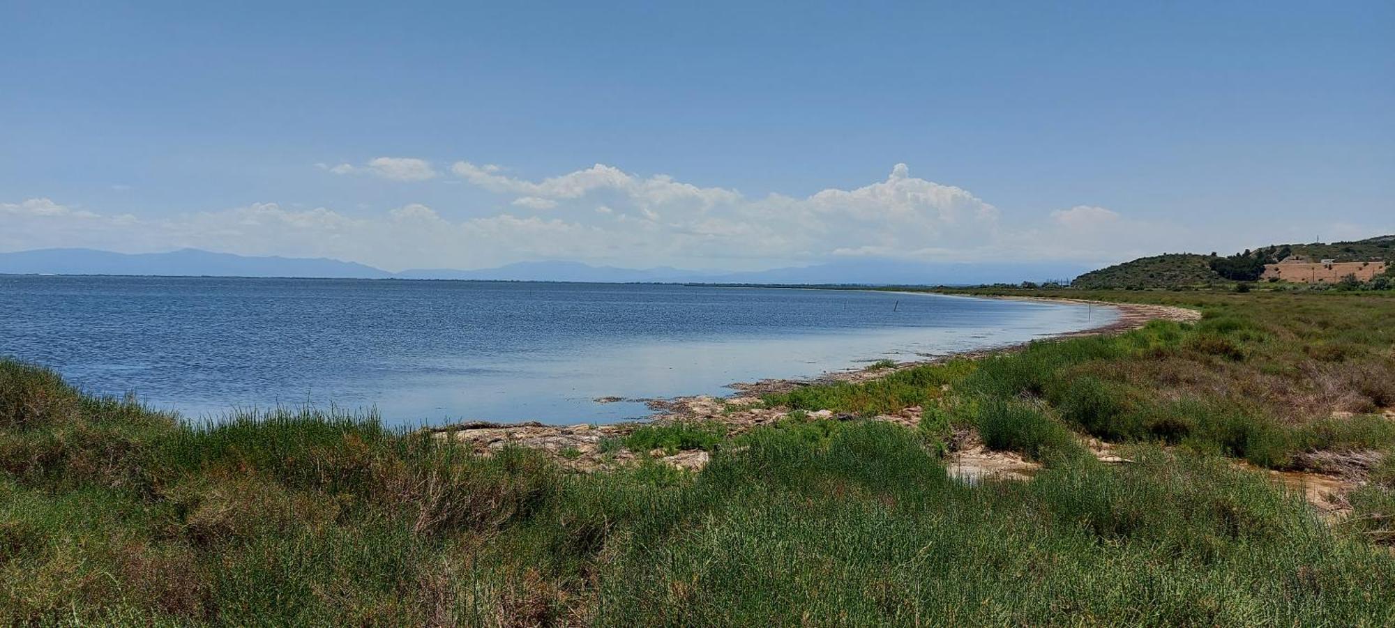 L'Oasis De Port Fitou Daire Dış mekan fotoğraf