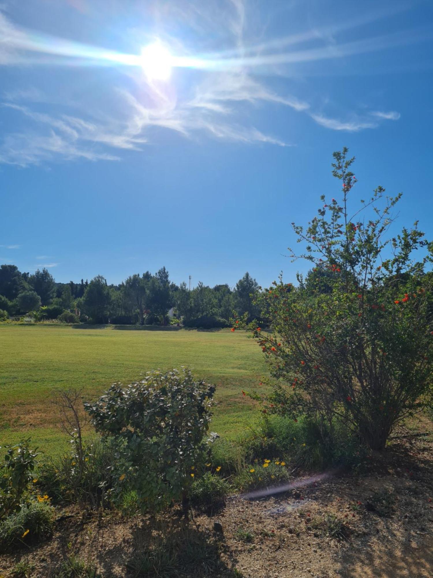 L'Oasis De Port Fitou Daire Dış mekan fotoğraf